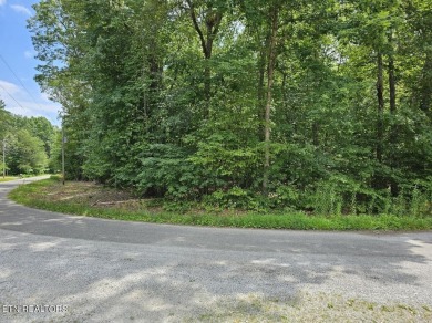 SOIL TEST HAS BEEN COMPLETED AND IS IN THE DOCUMENTS! Beautiful on Lake Tansi Village Country Club in Tennessee - for sale on GolfHomes.com, golf home, golf lot