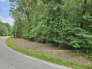 SOIL TEST HAS BEEN COMPLETED AND IS IN THE DOCUMENTS! Beautiful on Lake Tansi Village Country Club in Tennessee - for sale on GolfHomes.com, golf home, golf lot