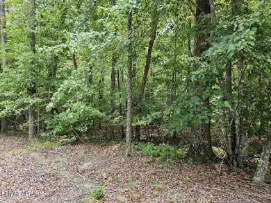 SOIL TEST HAS BEEN COMPLETED AND IS IN THE DOCUMENTS! Beautiful on Lake Tansi Village Country Club in Tennessee - for sale on GolfHomes.com, golf home, golf lot