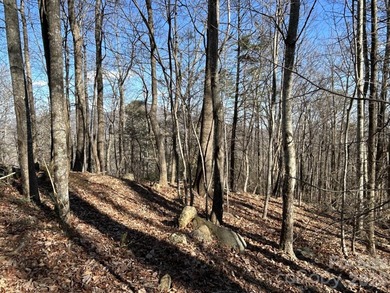 Exceptional location with stunning views of the dramatic on Rumbling Bald Resort on Lake Lure in North Carolina - for sale on GolfHomes.com, golf home, golf lot