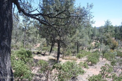 This terrific 1.11-acre home site has an abundance of on The Rim Golf Club in Arizona - for sale on GolfHomes.com, golf home, golf lot