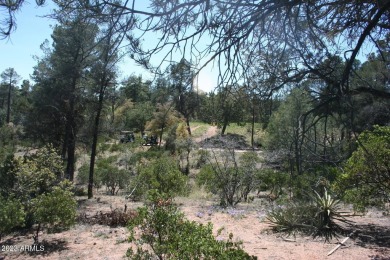 This terrific 1.11-acre home site has an abundance of on The Rim Golf Club in Arizona - for sale on GolfHomes.com, golf home, golf lot