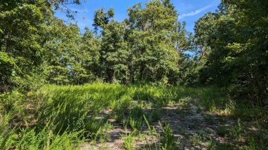 Get a great deal on this lot bundle! Four local lots that on Cherokee Village North Course in Arkansas - for sale on GolfHomes.com, golf home, golf lot