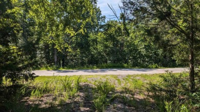 Get a great deal on this lot bundle! Four local lots that on Cherokee Village North Course in Arkansas - for sale on GolfHomes.com, golf home, golf lot