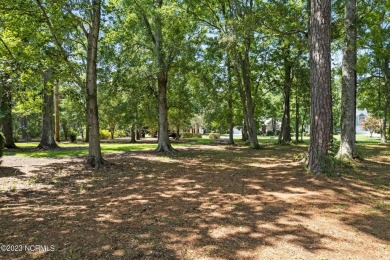 Situated in the established Beaver Creek neighborhood of St on Members Club At St. James Plantation in North Carolina - for sale on GolfHomes.com, golf home, golf lot