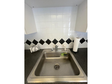 needs TLC....best golf course view in all of Kings Point on Kings Point Golf -Flanders Way in Florida - for sale on GolfHomes.com, golf home, golf lot