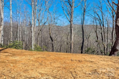 Come build in the Cove, start construction immediately! You have on Linville Falls Golf Club in North Carolina - for sale on GolfHomes.com, golf home, golf lot