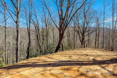 Come build in the Cove, start construction immediately! You have on Linville Falls Golf Club in North Carolina - for sale on GolfHomes.com, golf home, golf lot
