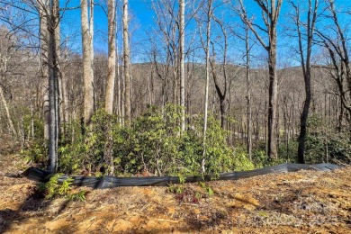 Come build in the Cove, start construction immediately! You have on Linville Falls Golf Club in North Carolina - for sale on GolfHomes.com, golf home, golf lot