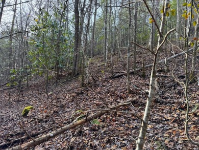 Seller says make an offer! 1+ acre Lot in the beautiful and on Bent Creek Golf Course in Tennessee - for sale on GolfHomes.com, golf home, golf lot