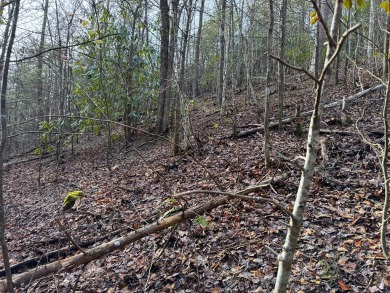 Seller says make an offer! 1+ acre Lot in the beautiful and on Bent Creek Golf Course in Tennessee - for sale on GolfHomes.com, golf home, golf lot