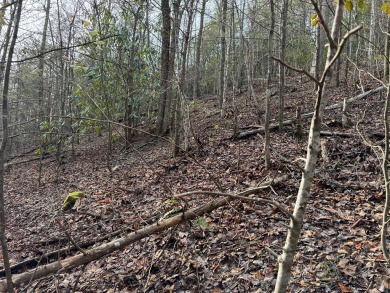 Seller says make an offer! 1+ acre Lot in the beautiful and on Bent Creek Golf Course in Tennessee - for sale on GolfHomes.com, golf home, golf lot