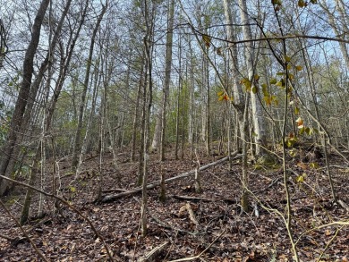 Seller says make an offer! 1+ acre Lot in the beautiful and on Bent Creek Golf Course in Tennessee - for sale on GolfHomes.com, golf home, golf lot