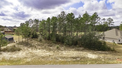 Discover the perfect canvas for your dream home on this on Windswept Dunes Golf Club in Florida - for sale on GolfHomes.com, golf home, golf lot