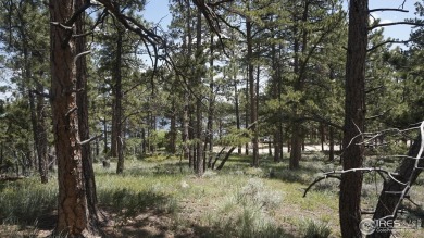 County approved site plan in place for restaurant, 3 cabins, big on Fox Acres Country Club in Colorado - for sale on GolfHomes.com, golf home, golf lot