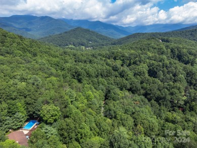 You've found your Mid-Century Modern Oasis! This single-level on Black Mountain Golf Course in North Carolina - for sale on GolfHomes.com, golf home, golf lot