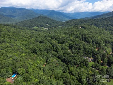 You've found your Mid-Century Modern Oasis! This single-level on Black Mountain Golf Course in North Carolina - for sale on GolfHomes.com, golf home, golf lot