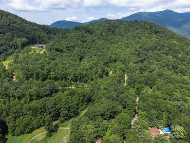 You've found your Mid-Century Modern Oasis! This single-level on Black Mountain Golf Course in North Carolina - for sale on GolfHomes.com, golf home, golf lot