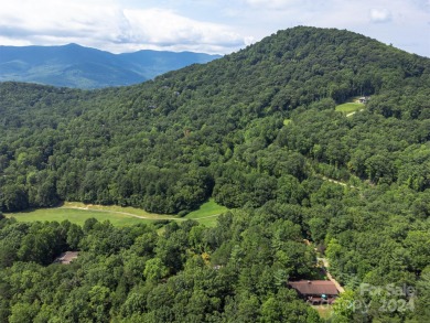 You've found your Mid-Century Modern Oasis! This single-level on Black Mountain Golf Course in North Carolina - for sale on GolfHomes.com, golf home, golf lot