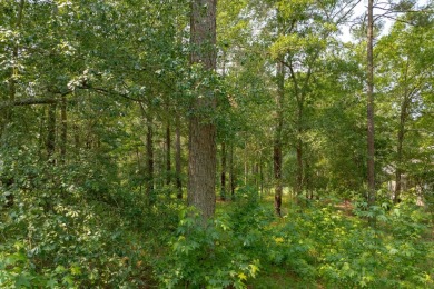 Fantastic golf homesite located in the Parrotts Place section of on Reynolds Lake Oconee - The Oconee in Georgia - for sale on GolfHomes.com, golf home, golf lot