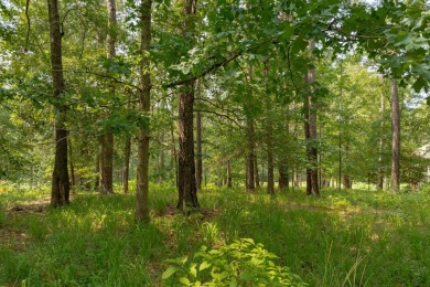 Fantastic golf homesite located in the Parrotts Place section of on Reynolds Lake Oconee - The Oconee in Georgia - for sale on GolfHomes.com, golf home, golf lot