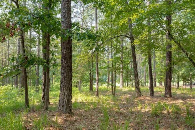 Fantastic golf homesite located in the Parrotts Place section of on Reynolds Lake Oconee - The Oconee in Georgia - for sale on GolfHomes.com, golf home, golf lot