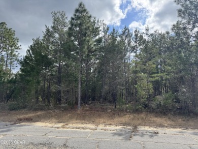 Don't miss this very private .38/acre lot in Sunny Hills to on Sunny Hills Golf and Country Club in Florida - for sale on GolfHomes.com, golf home, golf lot
