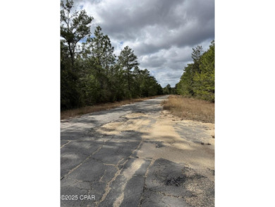 Don't miss this very private .38/acre lot in Sunny Hills to on Sunny Hills Golf and Country Club in Florida - for sale on GolfHomes.com, golf home, golf lot