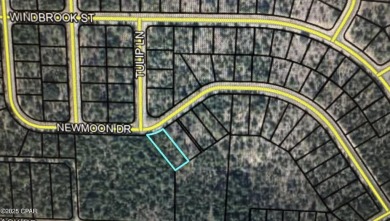 Don't miss this very private .38/acre lot in Sunny Hills to on Sunny Hills Golf and Country Club in Florida - for sale on GolfHomes.com, golf home, golf lot