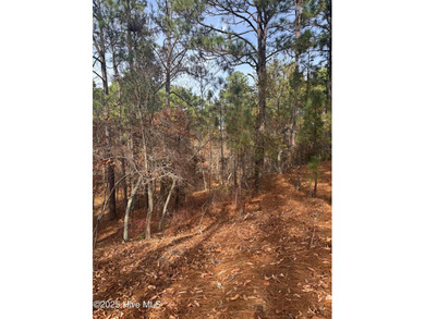 Buildable lot in gated Seven Lakes West with 4-bedroom septic on Beacon Ridge Golf and Country Club in North Carolina - for sale on GolfHomes.com, golf home, golf lot