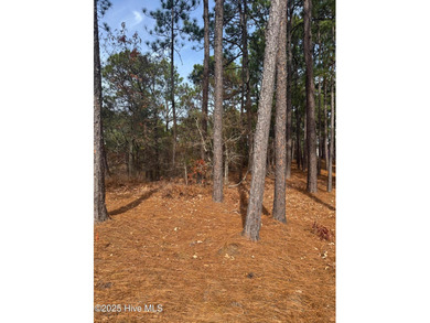 Buildable lot in gated Seven Lakes West with 4-bedroom septic on Beacon Ridge Golf and Country Club in North Carolina - for sale on GolfHomes.com, golf home, golf lot