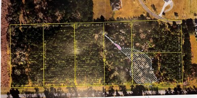 Beautiful 1.9 acre lot to build your dream home in the lovely on The Golf Club of Quincy in Florida - for sale on GolfHomes.com, golf home, golf lot