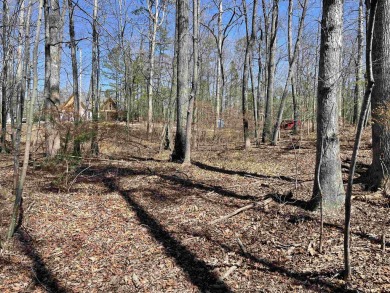 Two lots overlooking lake and golf course. Located on #4 Fairway on Shiloh Falls Golf Club in Tennessee - for sale on GolfHomes.com, golf home, golf lot