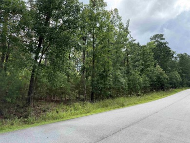 Perfect lot to build your forever dream home! This .75 acre lot for sale on GolfHomes.com