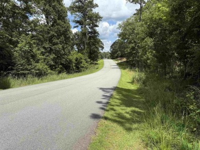 Perfect lot to build your forever dream home! This .75 acre lot on Harbor Club Golf and Country Club in Georgia - for sale on GolfHomes.com, golf home, golf lot