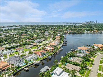 HIGH AND DRY DURING HURRICANE HELENE AND MILTON - READY FOR on The Renaisssance Vinoy Golf Club in Florida - for sale on GolfHomes.com, golf home, golf lot