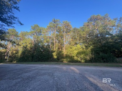 Looking to build your dream home in a well-established on Lake Forest Yacht and Country Club in Alabama - for sale on GolfHomes.com, golf home, golf lot