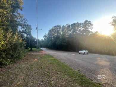 Looking to build your dream home in a well-established on Lake Forest Yacht and Country Club in Alabama - for sale on GolfHomes.com, golf home, golf lot