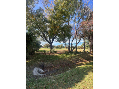 Ready to build your dream home or invest in one of Winter Park's on Dubsdread Golf Course in Florida - for sale on GolfHomes.com, golf home, golf lot