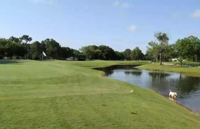 Ready to build your dream home or invest in one of Winter Park's on Dubsdread Golf Course in Florida - for sale on GolfHomes.com, golf home, golf lot