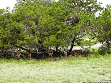 Discover this stunning single-story rock home situated on the on Flying L Guest Ranch in Texas - for sale on GolfHomes.com, golf home, golf lot