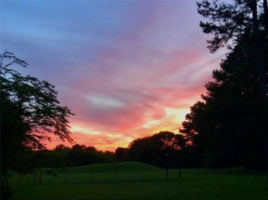 Welcome to the 7th Green on Honey Creek! With the sun setting on Honey Creek Country Club in Georgia - for sale on GolfHomes.com, golf home, golf lot