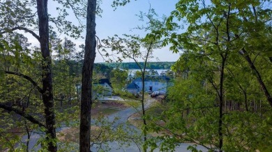 LAKE ACCESS, LAKE VIEWS, PRIVATE ASSIGNED BOAT SLIP and all on Reynolds Lake Oconee - The Oconee in Georgia - for sale on GolfHomes.com, golf home, golf lot