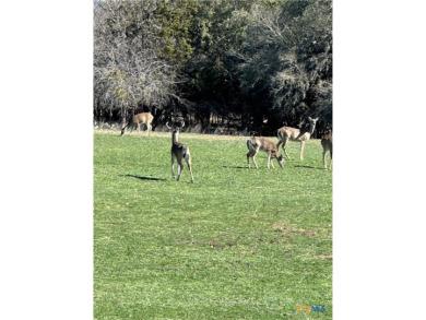 Beautiful lot for sale in the Flying L Ranch in *Cowboy Capital on Flying L Guest Ranch in Texas - for sale on GolfHomes.com, golf home, golf lot