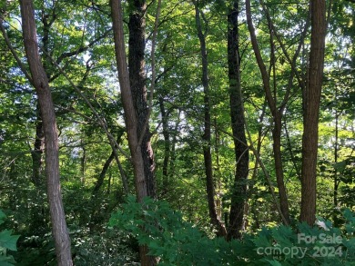 You don't have to go to West Virginia for a piece of heaven when on Rumbling Bald Resort on Lake Lure in North Carolina - for sale on GolfHomes.com, golf home, golf lot