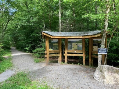 You don't have to go to West Virginia for a piece of heaven when on Rumbling Bald Resort on Lake Lure in North Carolina - for sale on GolfHomes.com, golf home, golf lot