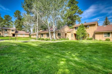 Lauri Heraty, ENGEL  VOLKERS Pagosa Springs, C: , lauri,  : on Pagosa Springs Golf Club in Colorado - for sale on GolfHomes.com, golf home, golf lot