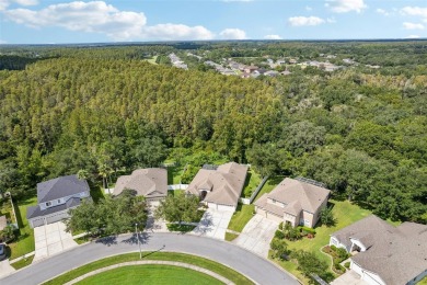 Calm after the storm? More like calm during--no hurricane damage on Heritage Isles Golf and Country Club in Florida - for sale on GolfHomes.com, golf home, golf lot