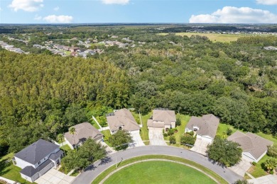 Calm after the storm? More like calm during--no hurricane damage on Heritage Isles Golf and Country Club in Florida - for sale on GolfHomes.com, golf home, golf lot