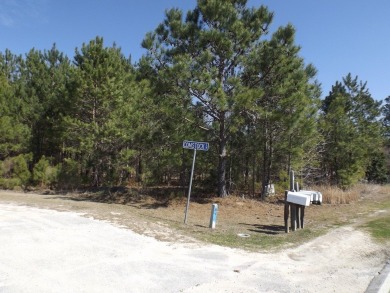 Lots 19, 20 and 21 along Comstock Lane at the corner of White on Players Course At Wyboo Plantation in South Carolina - for sale on GolfHomes.com, golf home, golf lot